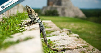 MEXICO EXCURSION: TOUR OF MAYANS AND TRADITIONS, 10 DAYS / 9 NIGHTS