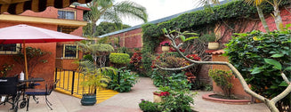 Nursing home and Assisted living in Mi Casita Home , Guadalajara Jalisco, country of Mexico (Contact before buying)