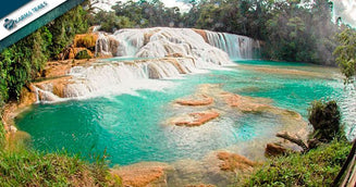MEXICO EXCURSION: TOUR OF CHIAPAS AND YUCATAN, 7 DAYS / 6 NIGHTS